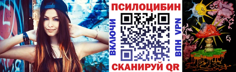 где купить наркоту  Камбарка  Галлюциногенные грибы Psilocybine cubensis 