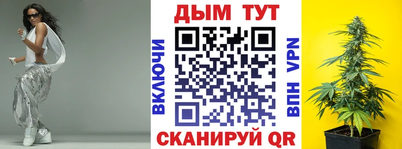 где продают наркотики  mega ONION  Конопля семена  Камбарка 